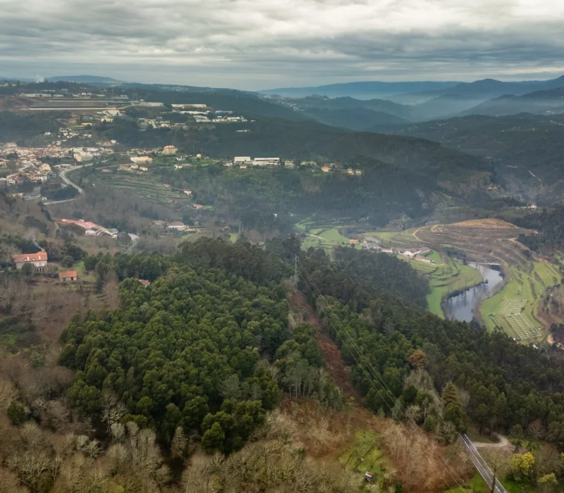 MiguelCardoso_Qta_Das_Lamas_-0363